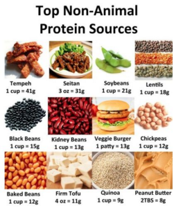 Protein3
